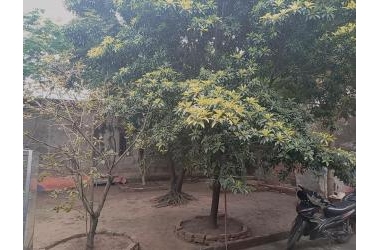 Bán nhà 162m2, Phân Lô, xây nhà cho thuê, Triều Khúc, Thanh Xuân, 11,2 tỷ